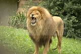 leipzig zoo-01_07_2011_zoo_allgemein_326